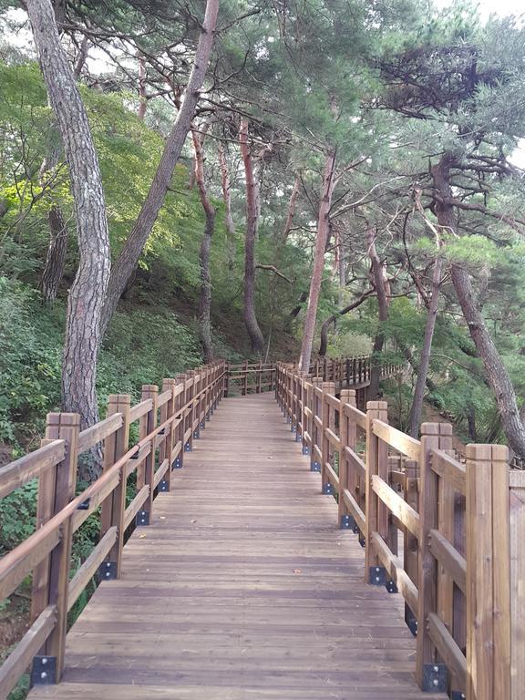 Pyeongchang River House ภายนอก รูปภาพ