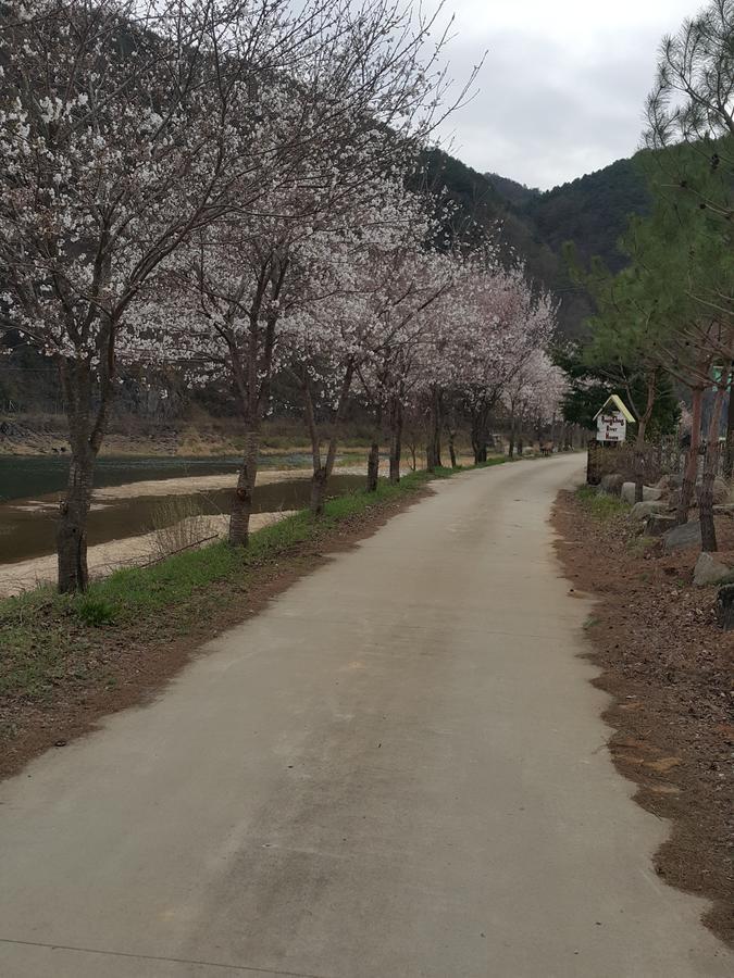 Pyeongchang River House ภายนอก รูปภาพ